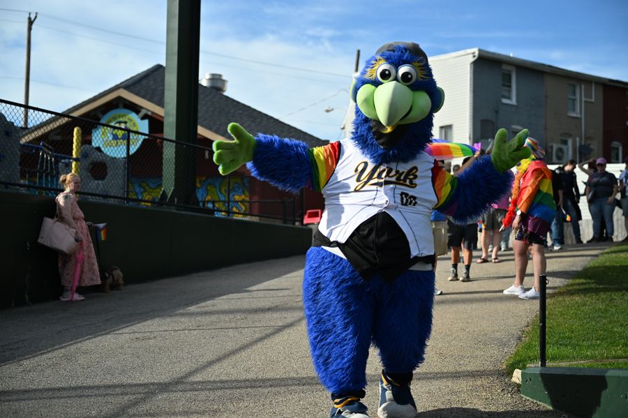 York community mascot in a rainbow jersey at a Pride event